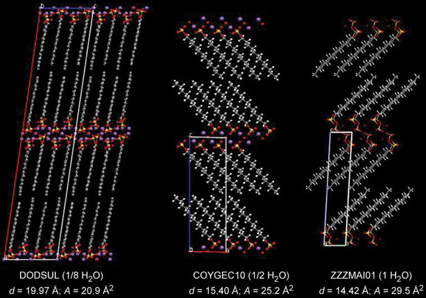 The crystal structures observed for the three hydrates of sodium dodecylsulfate. The addition of H2O beyond the monohydrate results in the formation surfactant phases, initially with lamellar architectures. The CSD reference codes, the degree of hydration, the interlamellar d-spacing (d), and the area (A) of the polar head group are provided beneath each structure.8