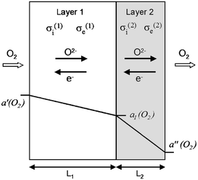 Schematic representation of a bilayer membrane in a gradient of oxygen activity. The surface oxygen activities a′(O2) and a″(O2) and the transport properties of both layers determine the oxygen activity aI(O2) at the layer interface.