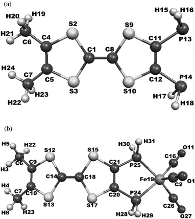 DFT optimized structure of (a)
						P2′˙+. b)
						[Fe(P2′)(CO)3]+.