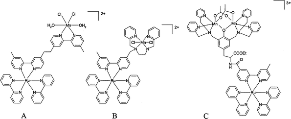 Structure of model complexes developed by Styring et al. [ref. 3, and refs. therein].