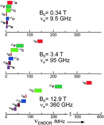 Gain in ENDOR resolution for doublet state systems (S
						= 1/2, g
						= 2) with increasing microwave frequency and Zeeman field. Spectral lines of different nuclei in organic biomolecules, largely overlapping at the traditional frequency of 9.5 GHz (X-band), become completely separated at 360 GHz.