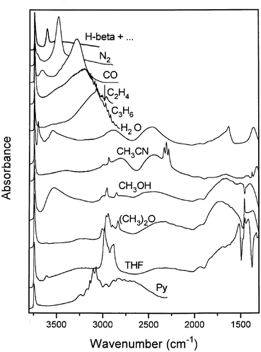 Probing the acid sites in confined spaces of microporous materials