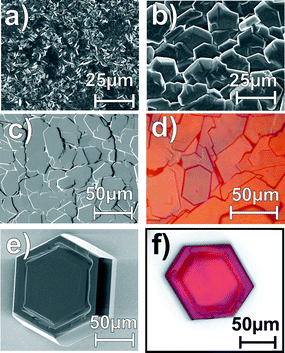 SEM and polarization micrographs of rubrene films grown by hot wall deposition at different temperatures onto SiO2 and Au(111) surfaces: (a) on SiO2 at 395 K, (b) on SiO2 at 415 K, (c), (d) on Au(111) at 415 K and (e), (f) on SiO2 at 423 K.