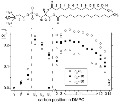 Local order parameters for the various segments in DMPC plotted for three different levels of hydration at 41 °C.