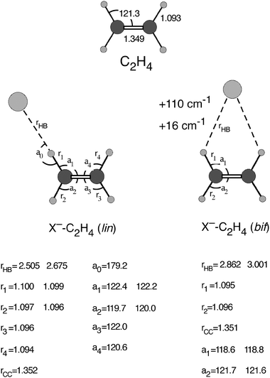 Infrared spectra of the Cl C 2 H 4 and Br C 2 H 4 anion