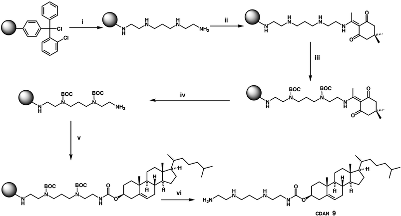 
            Reagents and conditions:
						(i) polyamine (10 equiv.), CH2Cl2, rt, 2h, then MeOH (1000 equiv.), rt, 10 min; (ii) Dde-OH (10 equiv.), DMF, rt, 12 h; (iii) Boc2O (5 equiv. per free amine), NEt3
						(2 equiv. per free amine), CH2Cl2, rt, 4 h; (iv) 2% hydrazine hydrate in DMF, rt, 10 min (rpt step × 2); (v) cholesterol chloroformate (10 equiv.), NEt3
						(3 equiv.), rt, 4 h; (vi) 50% TFA in CH2Cl2, rt, 1 h, 93%.40