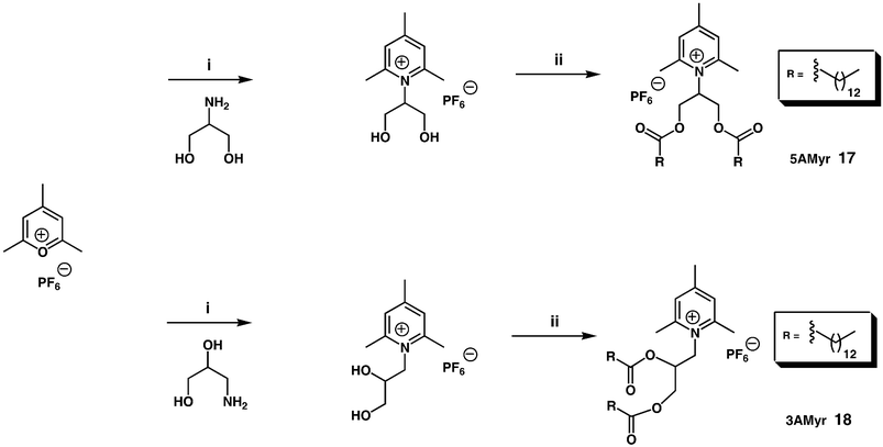 
            Reagents and conditions:
						(i) NEt3
						(1.2 equiv.), EtOH/AcOH, 1–3 h, 50–85%; (ii) NEt3
						(2 equiv.), myristoyl-Cl (2.2 equiv.), AcCN, 3–5h, reflux.42
