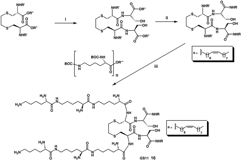 
            Reagents and conditions:
						(i)
						l-serine (2 equiv.), K2CO3
						(2 equiv.), THF/H2O 1 ∶ 1 v/v, rt, 72 h; (ii)
						(a) NHS (2 equiv.), DCC (2 equiv.), THF, rt, 24 h (b) NEt3
						(2 equiv.), oleylamine (2 equiv.), THF, rt, 48h; (iii)
						(a) BOC-protected L-K3
						(R‴
						=
						N-succinimido)
						(>2 equiv.), H2O/NaOH/THF, rt, 48 h (b) MeOH/HCl.45