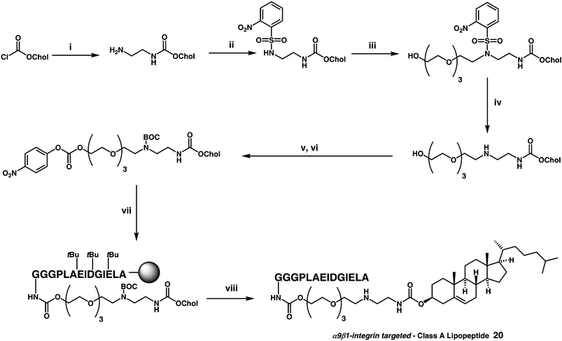 
            Reagents and conditions:
						(i) H2NCH2CH2NH2
						(200 equiv.), 2 days, 65%; (ii)
						(a) 2-NsCl (1.3 equiv.), NEt3
						(1.5 equiv.), CH2Cl2, 14 h, 87%
						(b) BnBr (1.1 equiv.), Ag2O (1.5 equiv.), 20 h, generating 55%; (iii) tetraethyleneglycol (TEG)
						(1.3 equiv.), DTBAD (1.5 equiv.) slow addition over 1 h in CH2Cl2, PPh2py (1.5 equiv.), CH2Cl2, 3 h, 71%; (iv) Na (10 equiv.), C10H8
						(10 equiv.), −30 °C, 45 min, 74%; (v) Boc2O (1 equiv.), NEt3
						(1.1 equiv.), CH2Cl2, 10 h, 84%; (vi) NEt3
						(2 equiv.), DMAP (2 equiv.), p-nitrophenyl chloroformate (3 equiv.), CH2Cl2, 10 h, 92%; (vii) fully protected peptide (Fmoc deprotected on N-terminus)
						(0.5 equiv.), NEt3
						(2.5 equiv.), DMF, 18 h; (viii) 95% v/v TFA/H2O, 90 min, 10% over two steps.110