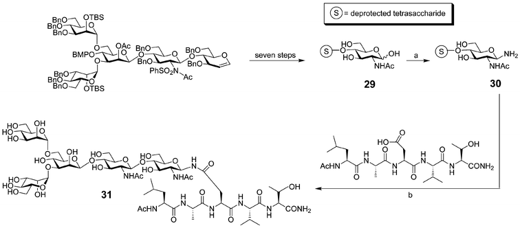 Synthesis of a pentasaccharide-modified glycopeptide (31): a)
						(NH4)HCO3, H2O (95%); b) amide formation: HOBt and HATU in DMF (40% yield).