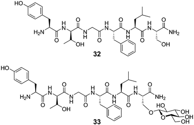 Structures of peptide 32 and the corresponding glycopeptide 33.