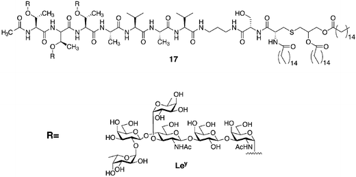 Glycopeptides prepared by SPPS bearing the tumor-associated antigen Lewis y (Ley).