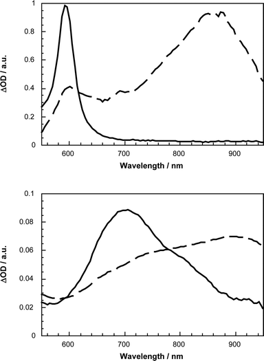 Transient absorption spectrum visible–near-infrared part recorded 20 ps (dashed line) and 5000 ps (line line) upon flash photolysis of 46
						(upper spectrum) and 44
						(lower spectrum) at 355 nm in deoxygenated toluene, indicating the oligomer/C60 singlet–singlet and triplet–triplet features, respectively.