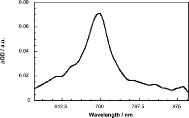 Transient absorption spectrum (i.e., visible–near-infrared part) recorded 20 ps upon flash photolysis of 20
						(2.0 × 10−5 M) at 355 nm in deoxygenated benzonitrile, indicating the oligomer π-radical cation features (λmax
						∼ 700 nm).