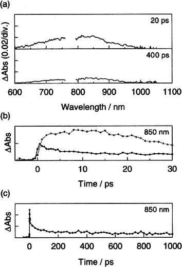 (a) Transient absorption spectra of the 10b water dispersion observed by 388 nm laser excitation. (b) Absorption–time profiles at 850 nm of 14b fine particles (solid line) and 14b in benzonitrile (dot line) after a laser pulse. (c) Absorption–time profile at 850 nm of 10b fine particle after a laser pulse. Reprinted with permission from (ref. 38). Copyright (2001) American Chemical Society.