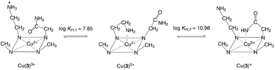 scheme, filename = b412857p-s3.gif
