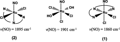 Ruthenium NO complexes and reaction products with terpy, with NO stretching frequencies.