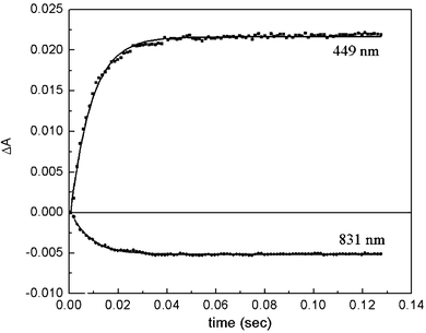 Electron-equilibration between HH cytochrome c and CuA. In a stopped flow experiment, 3.9 µM oxidized N2OR monomer was mixed with a 9-fold excess of reduced HH cytochrome c. Time courses at 449 nm and 831 nm, are shown, which monitor the redox state of HH cytochrome c, and CuA, respectively. Additionally, single-exponential fits (kobs
					= 150 s−1) to the data are shown.