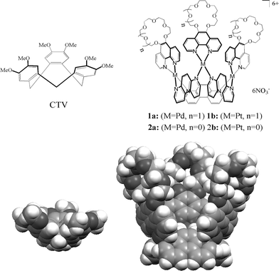 CTV and its inorganic analogues: self-assembling molecular baskets (the CPK diagrams calculated using the CAChe 6.1.1 program10).