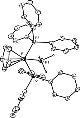 Structure of the [CpRu(PPh3)2(PH3)]+ cation in 3a. Selected bond lengths (Å) and angles (°): Ru–P1 2.283(1), Ru–P2 2.357(1), Ru–P3 2.335(1), P1–H 1.27(2); P1–Ru–P2 90.53(3), P1–Ru–P3 95.43(3), P2–Ru–P3 100.59(3), H–P1–H 94(2).