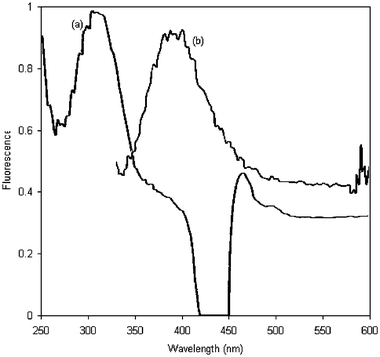 Excitation (a) and emission (b) spectra of the fluorogenic compound.