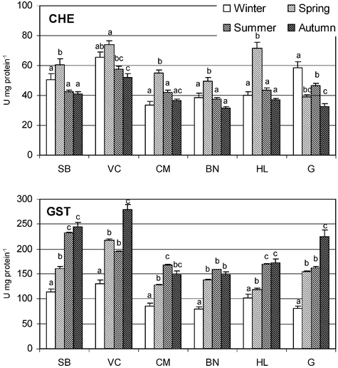 Cholinesterase (ChE) and glutathione S-transferases (GST) activity (U mg protein−1) determined in Paracentrotus lividus from each field station (SB – S. Bartolomeu; VC – Vila Chã; CM – Cabo do Mundo; BN – Boa Nova; HL – Homem do Leme; G – Granja) in winter, spring, summer and autumn. Values are the mean of 20 animals with correspondent standard error bars. Similar letters correspond to similar values of enzymatic activity within the same station, based on post-hoc Newman–Keuls test probabilities (p < 0.05). 1 U = 1 nmol of substrate hydrolysed per minute.