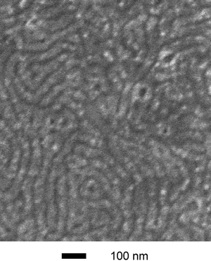 SEM image of a thin film sample. Blend 11 was spin-cast from a 15 mg ml−1 toluene solution and then stained with RuO4 for 5 min (the second largest PEO-containing blend). The SEM analysis was made on a high-resolution Hitachi S-900 FE-SEM using accelerating voltages of 1 keV.