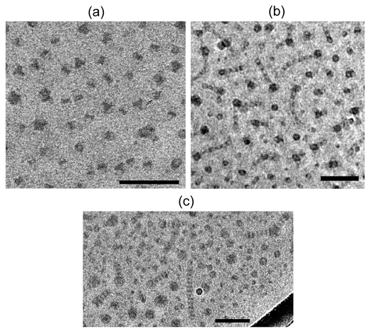 CryoTEM images of micelles formed from (a)
						μ-EOF(2-13-3); (b)
						μ-EOF(2-7-2); (c)
						μ-EOF(2-9-3); these images are reprinted with permission from a larger series which have been reported elsewhere.11 The scale bar is 100 nm.