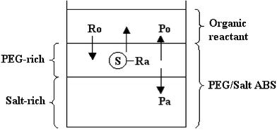 Three-phase ABRE: Ro = organic reactant; Ra = aqueous reactant; Po = organic product; Pa = aqueous product; S = PTC.