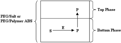 Typical enzyme hydrolysis reaction in ABS: S = substrate; E = enzyme; P = product.