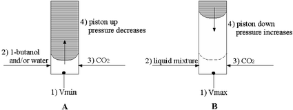 Experimental procedure for (A) CO2–1-butanol and/or water; (B) RTIL–1-butanol–water–CO2. The numbers 1), 2)… represent the chronological order of the experimental operations.