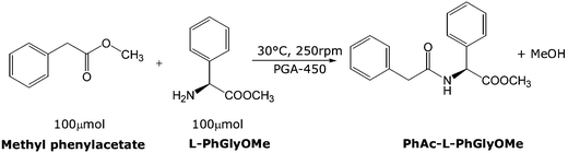 PGA catalysed synthesis of PhAc-l-PhGlyOMe in ILs and toluene.