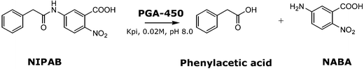 Activity assay of PGA by hydrolysis of the chromogenic NIPAB substrate to phenylacetic acid and NABA.