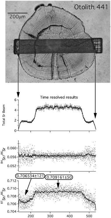 An example of high-resolution Sr-isotope analysis. A slit, approximately 147 × 3 μm in size, is slowly traversed across the sample. Each datum in the time-resolved plots represents a single 0.2 s integration, with a weighted running average also plotted for clarity. The strong Sr concentration contrasts between carbonate deposited in marine and freshwater are clearly reflected in the size of the Sr beam. 87Sr/86Sr ratios also vary systematically between core and edge, with compositions for the core and left hand edge shown in boxes. The edge composition is not well resolved on the right hand side since in this case the ablation slit runs oblique to the growth zonation of the otolith.