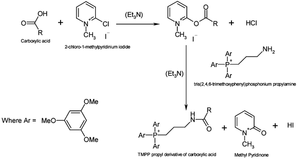 Activation of carboxylic acids with 2-chloro-1-methylpyridinium iodide (CMPI) and reaction with TMPP propylamine.