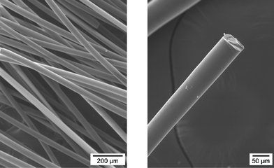 SEM micrographs of the as-spun polyborosilazane fibers.