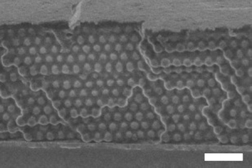 Cross-sectional scanning electron micrograph of a silica–PFS composite colloidal crystal film. Note the homogeneous infiltration as well as the smooth top surface free of significant polymer overlayer. White scale bar represents 1 μm.