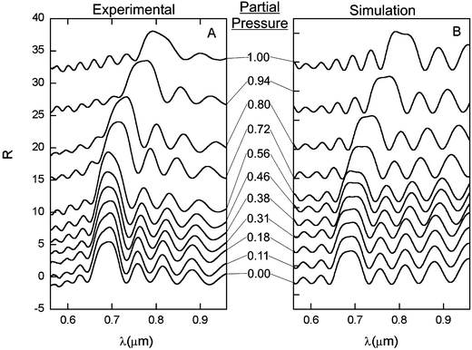 (A) Experimental spectra for the swelling of samples in increasing dichloromethane solvent vapor pressure. (B) Theoretically fitted curves for the experimental spectra in A.