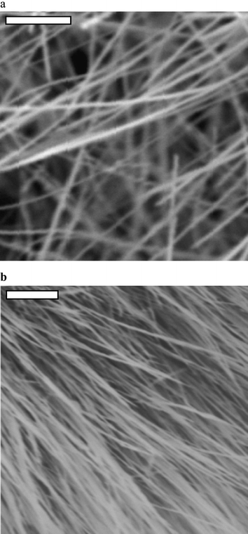 Typical fibres afforded via AACVD by the decomposition of [W(OPh)6] in the electrode gap under an applied field. a, Fibres deposited in 1 V dc applied field (scale bar has a width of 1 µm). b, Fibres deposited in 1 V rms field at 50 Hz (scale bar has a width of 2 µm).