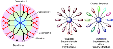A dendritic scaffold, polypedal (many feet the same) supermolecule which can be subject to polydispersity, and a multipedal (many different feet) supermolecule which is not necessarily subject to polydispersity.