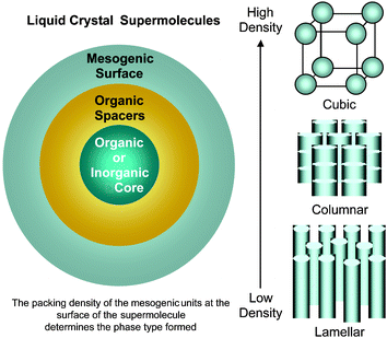 Effect of the number density of mesogens on the surface of the supermolecular structure on the formation of various mesophases.