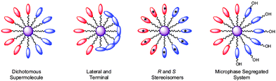 Templates for supermolecular materials bearing A–B blocks of mesogenic units, some of which are functionalised.