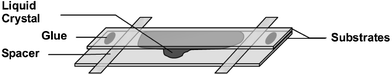 Schematic structure of a capillary LC cell. The liquid crystal is injected in the space between the two substrates and spreads as a result of capillary forces.