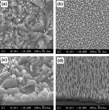 SEM images of ZnO films grown on Si substrates, by PLD, in p(O2)
					∼10 mTorr, using 27000 laser shots and substrate temperatures as follows: (a) and (c): Tsub
					= 1023 K; (b) and (d): Tsub
					= 573 K for 1 min, followed by Tsub
					= 1023 K for a further 44 min. Images (a) and (b) show plan views, while (c) and (d) were recorded at a tilt angle of ∼40° to the horizontal.