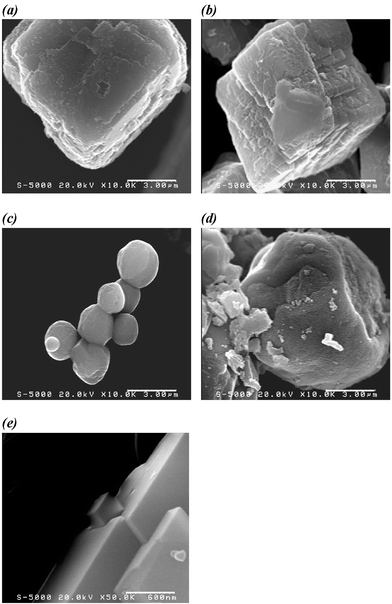 FE/SEM images of (a)
						1CaCO3, (b)
						2CaCO3, (c)
						2isoCaCO3, (d)
						3CaCO3, and (e) a calcite crystal in the absence of polymer (20 kV acceleration voltages). Scale bars in these images represent 3 µm for (a), (b), (c), and (d), and 600 nm for (e).
