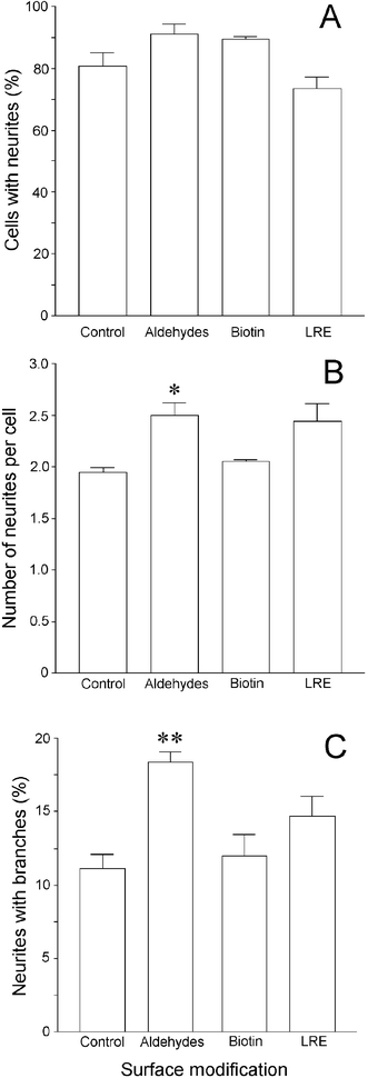 The effect of different chemically-modified laminin surfaces on the number of neurites extended by primary motoneurons and their degree of branching. Primary rat spinal cord cells were plated on the different surfaces and, after 24 h, were fixed and stained for the motoneuron marker choline acetyltransferase (ChAT). The number of ChAT-positive cells with neurites (A), the number of neurites per cell (B) and number of branched neurites per cell (C) were determined using phase contrast microscopy. Each data point represents the mean ± SEM of triplicate wells. *
							P < 0.05; **
							P < 0.01.
