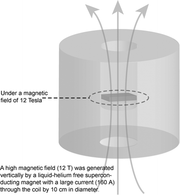 Schematic presentation for the preparation of continuous mesoporous silica films under an applied high magnetic field.