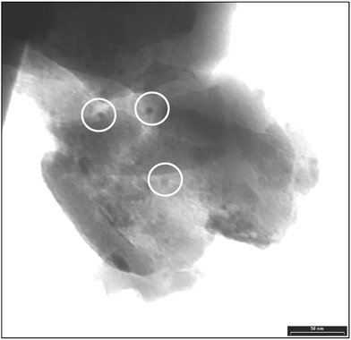 TEM micrograph of the calcined SiHf24 sample.
