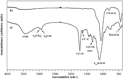 IR spectra of the (a) as-prepared and (b) calcined SiHf11 sample.