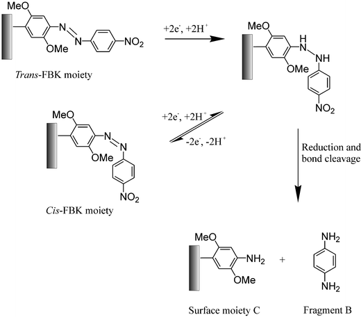 The proposed electro-reduction mechanism for cis- and trans-FBK moieties on derivatised graphite powder or MWCNTs and the proposed chemical release mechanism.